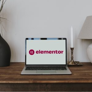 Abonnement annuel Activation Licence Elementor Pro (1 site)